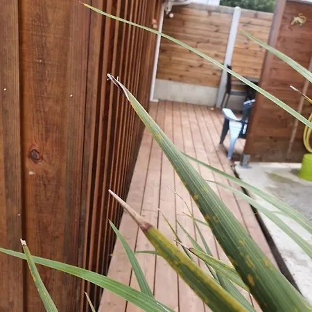 Lou Cachotte Ле-Теш